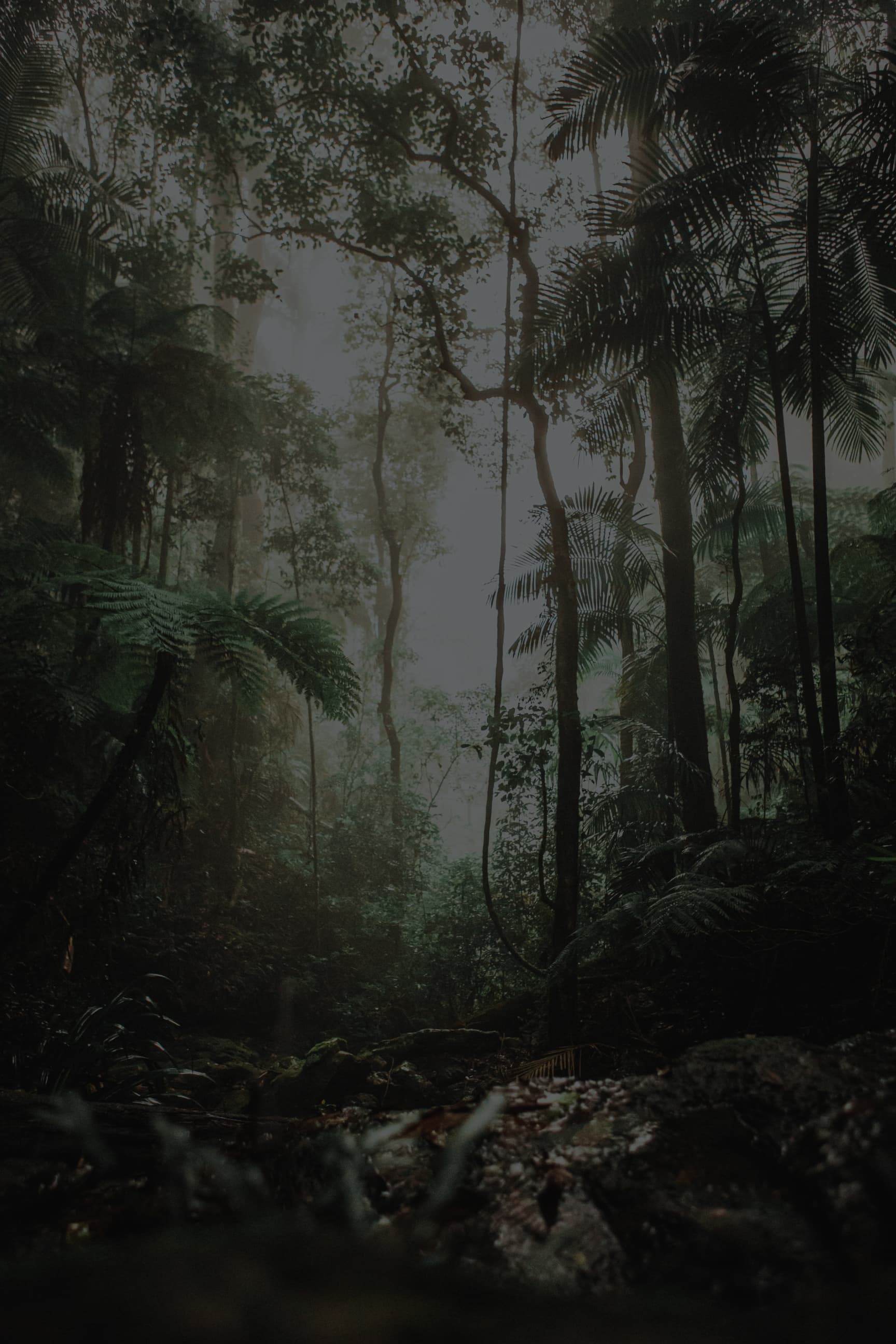 background of first section 